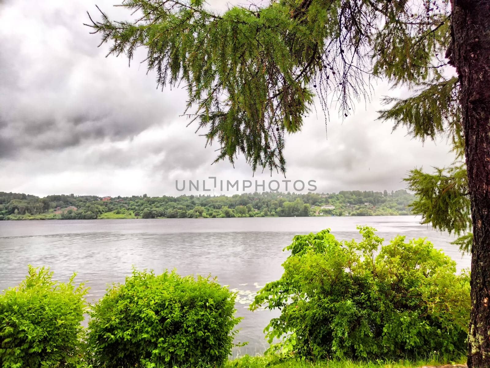 A peaceful lakeside area showcasing calm waters and vibrant greenery under an overcast sky.