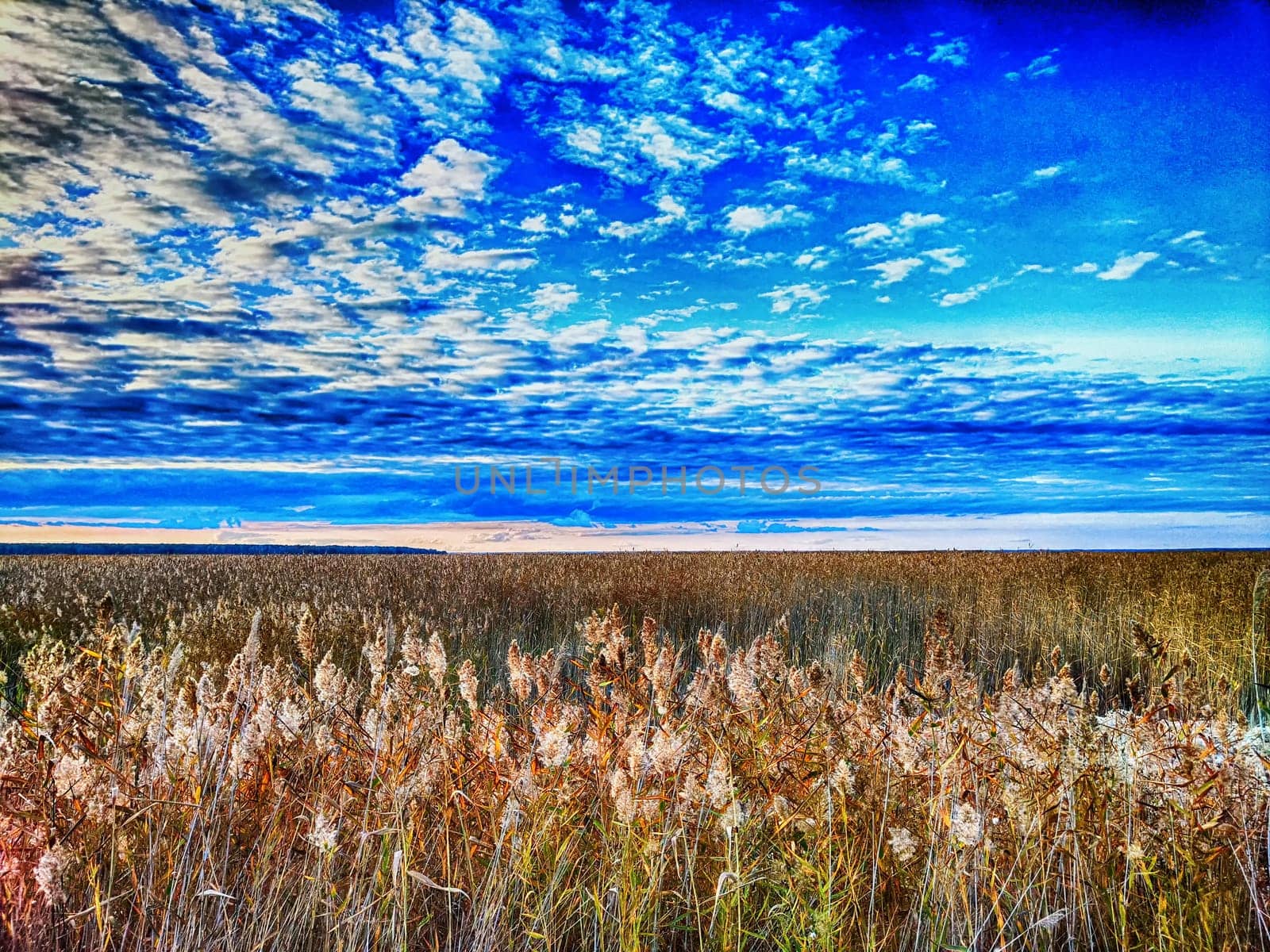 The sun sets over a field of tall grass, creating breathtaking display of colors in the evening sky
