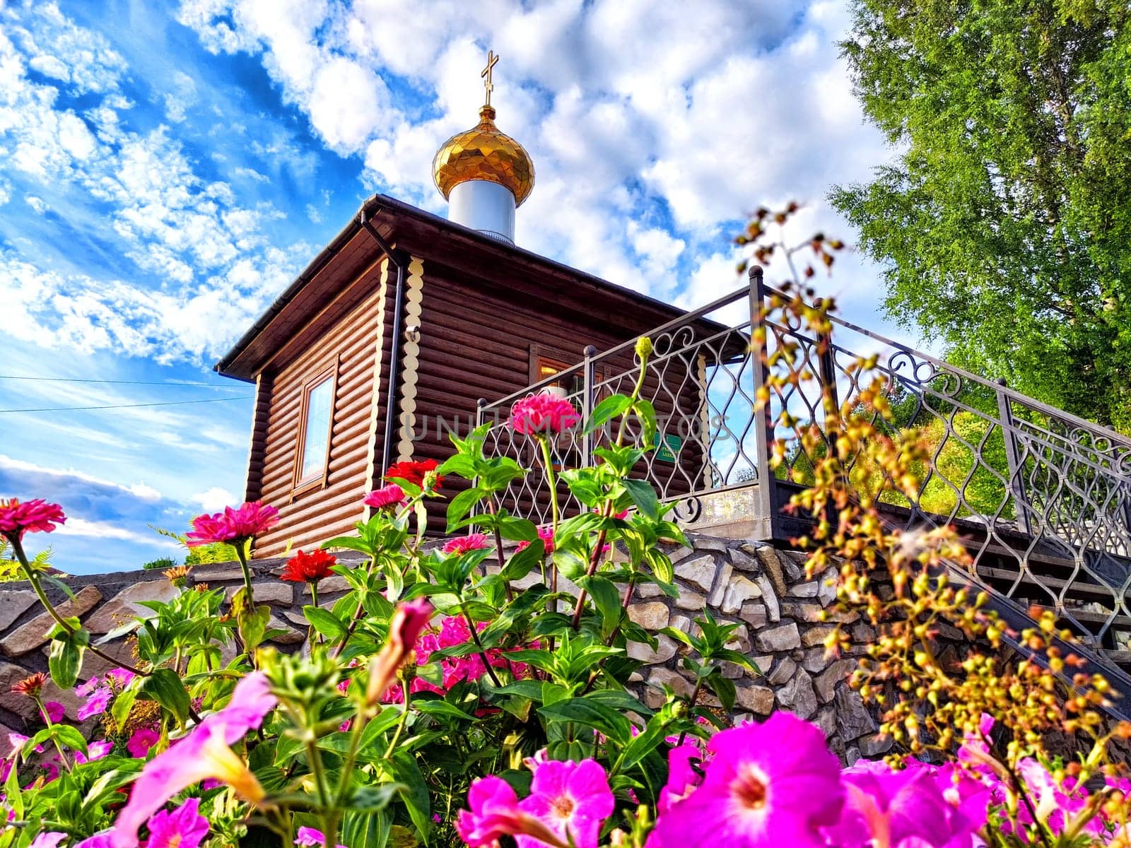 A colorful display of pink petunias fills the garden, showcasing their lush blooms under the bright spring sun.