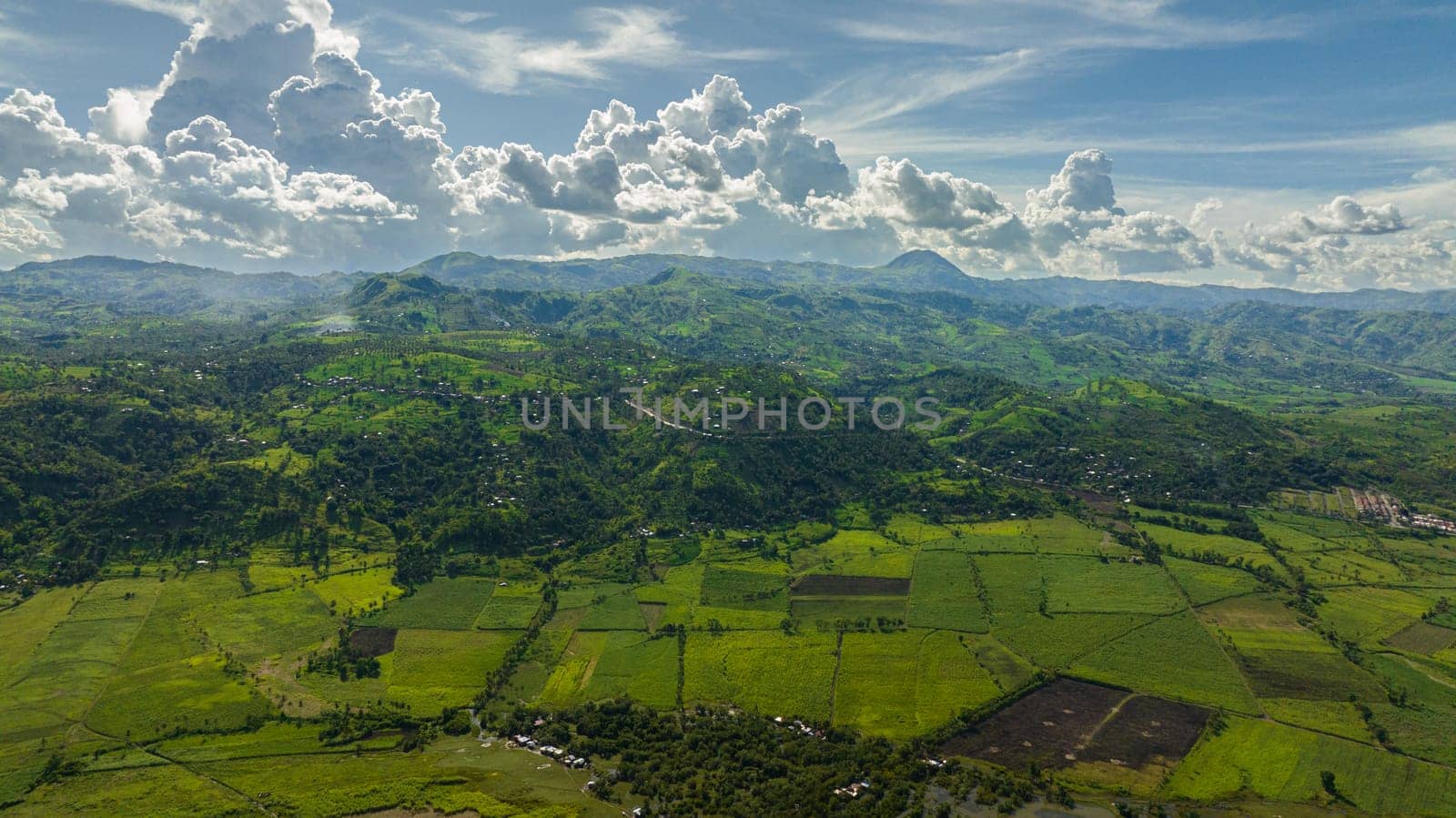 Top view of farmland with sugar cane and rice fields. Negros, Philippines
