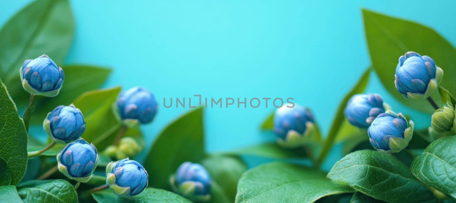 Close-up of beautiful blue flower buds and green leaves creating a serene natural scene