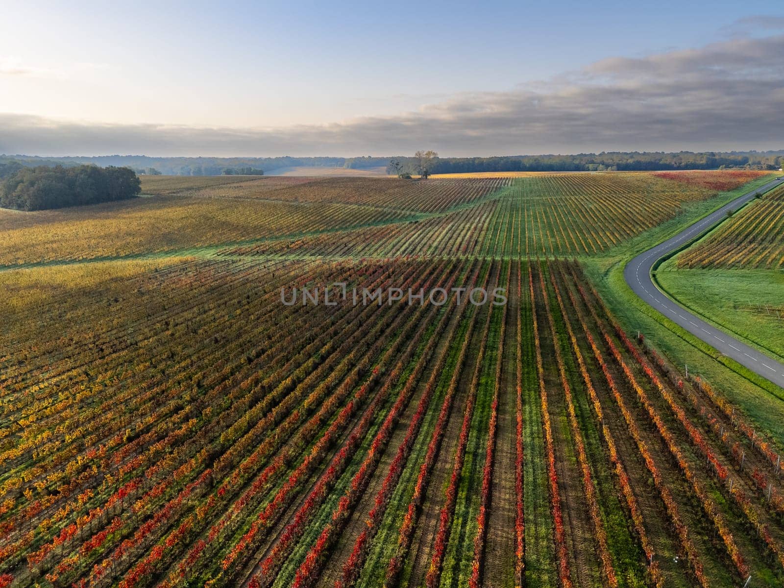 Autumn landscape around Bordeaux vineyards, Bordeaux Vineyard at sunrise in autumn, Entre deux mers, Langoiran, Gironde. High quality photo