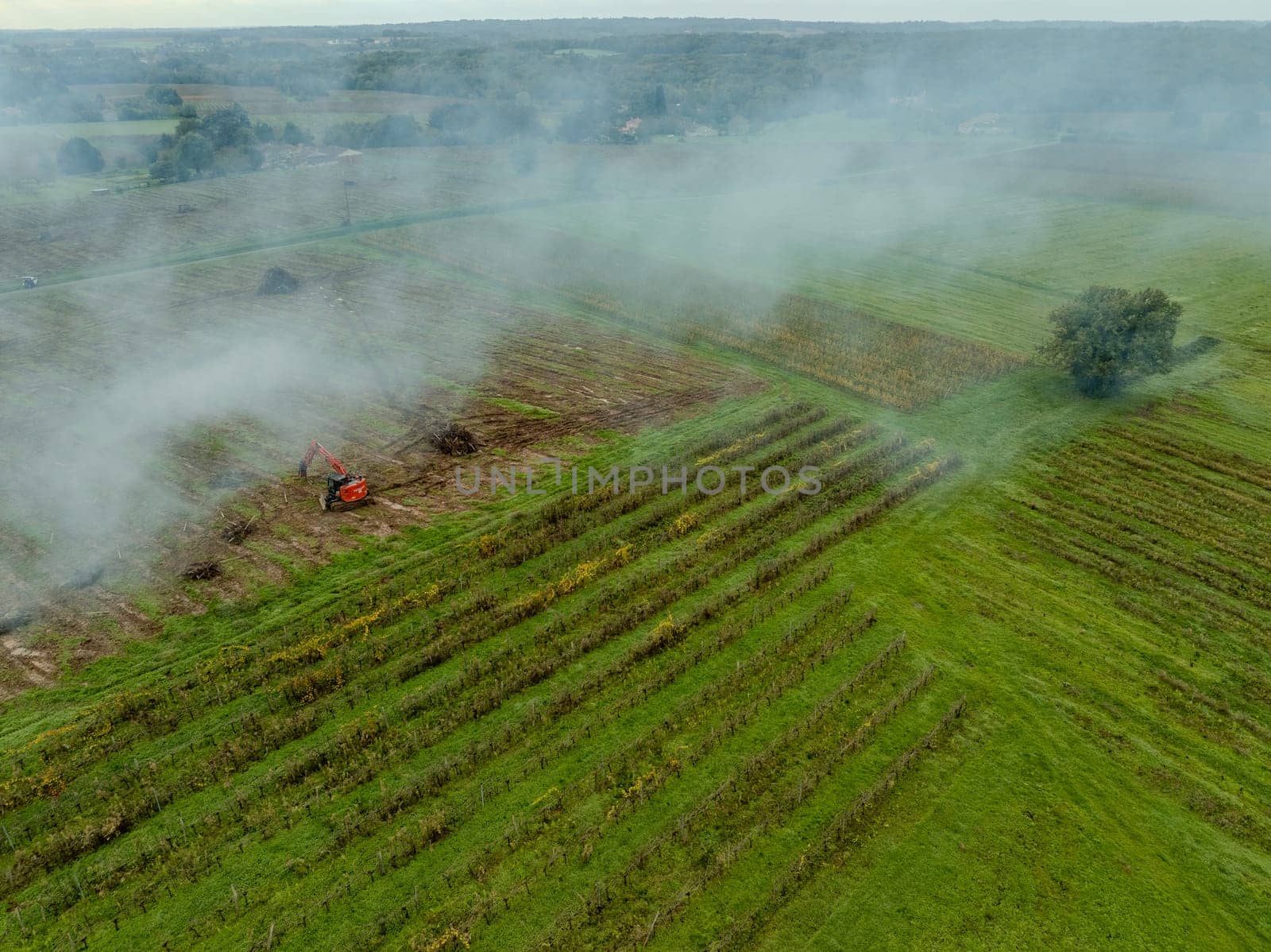 FRANCE, GIRONDE, NAUJAN-ET-POSTIAC, BORDEAUX VINEYARD UPROOTING CAMPAIGN WITH BACKHOE LOADER. High quality photo