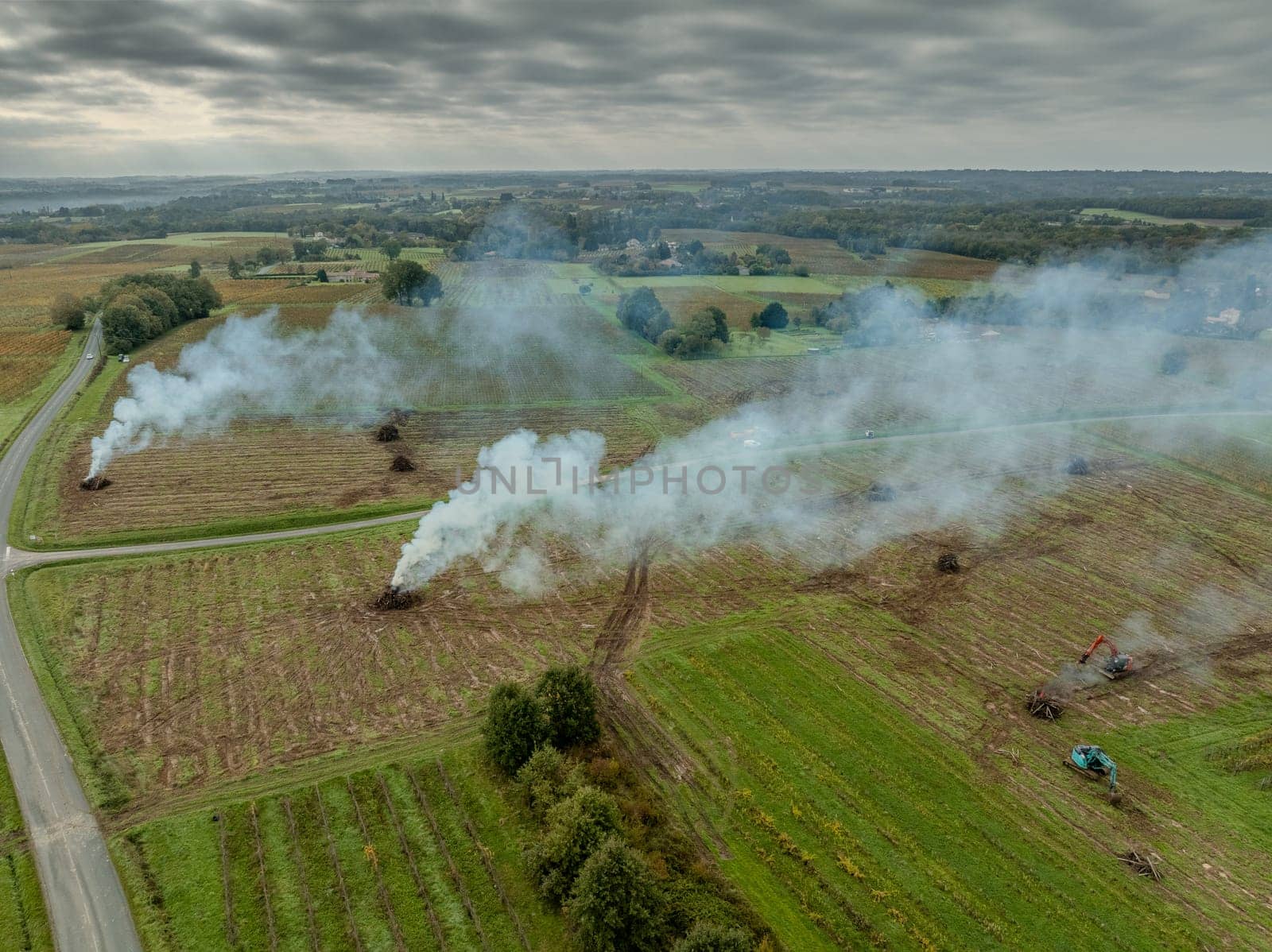 FRANCE, GIRONDE, NAUJAN-ET-POSTIAC, BORDEAUX VINEYARD UPROOTING CAMPAIGN WITH BACKHOE LOADER. High quality photo