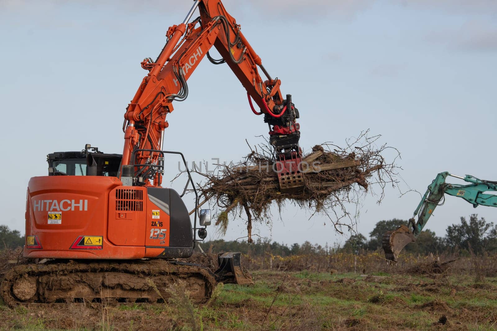 FRANCE, GIRONDE, NAUJAN-ET-POSTIAC, BORDEAUX VINEYARD UPROOTING CAMPAIGN WITH BACKHOE LOADER. High quality photo