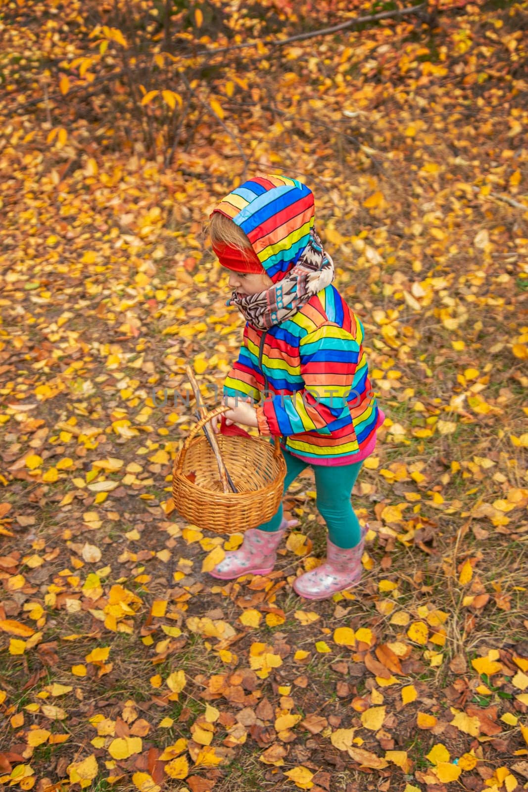 Child in autumn forest. Selective focus. nature.