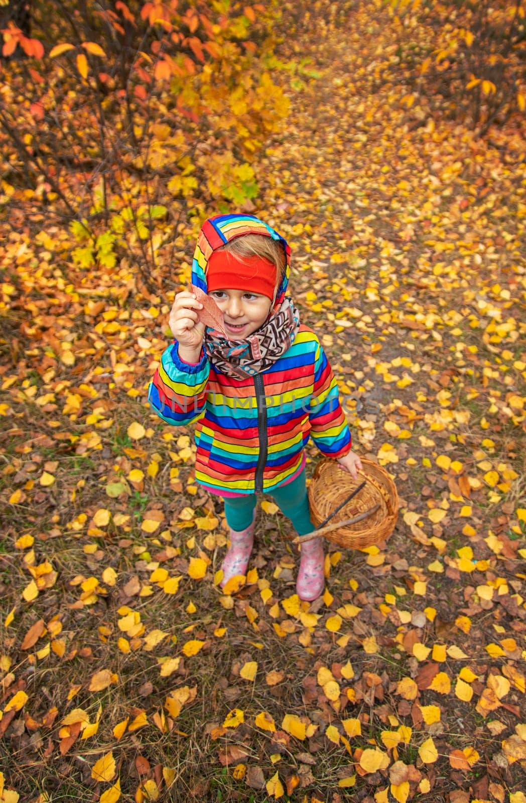 Child in autumn forest. Selective focus. nature.