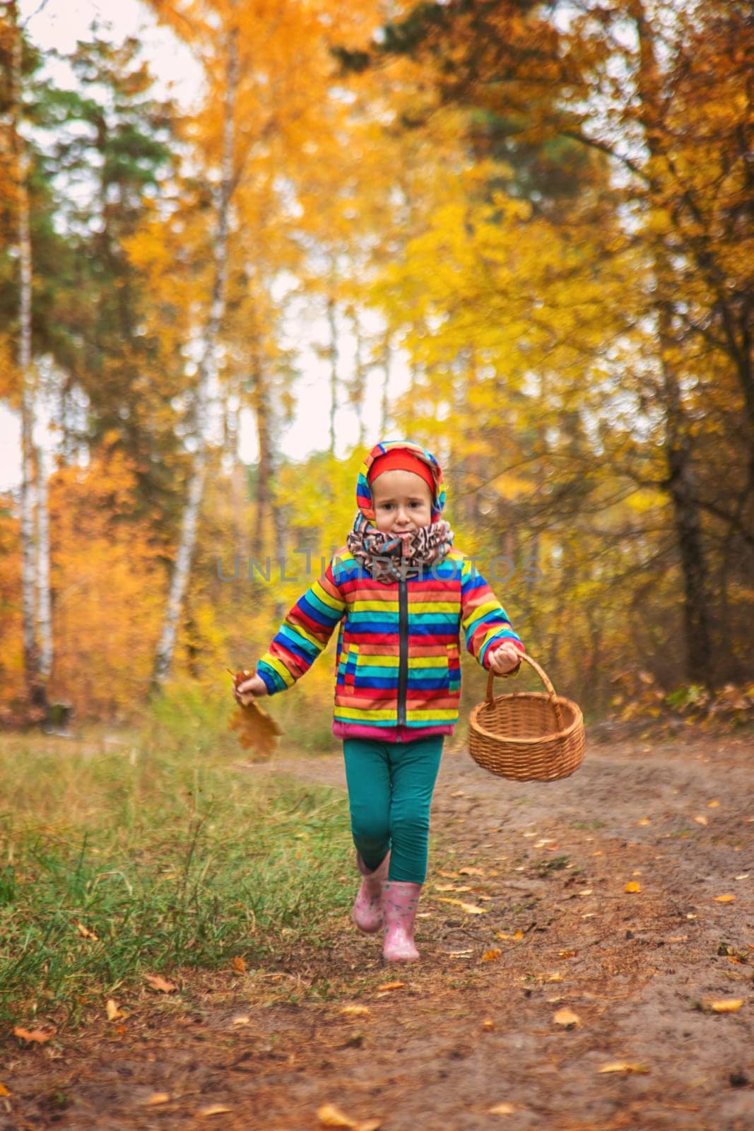 Child in autumn forest. Selective focus. nature.
