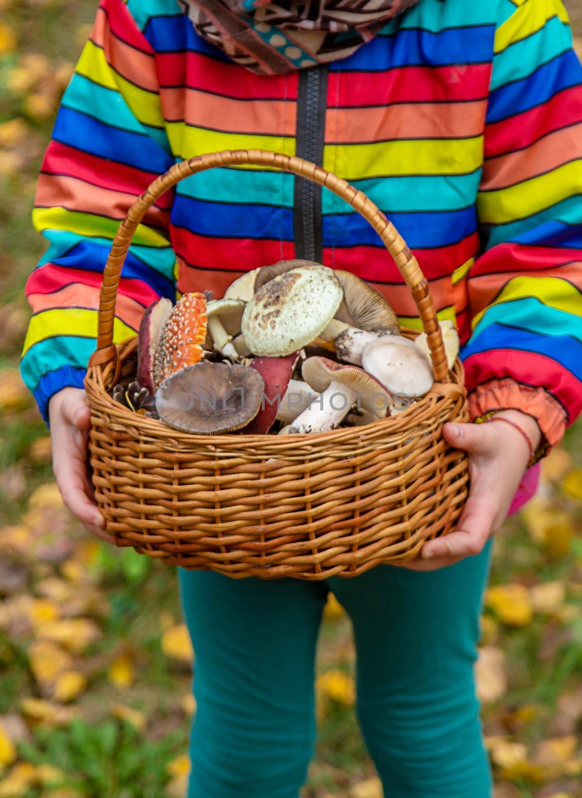 Child with a basket of mushrooms in the forest. Selective focus. nature.