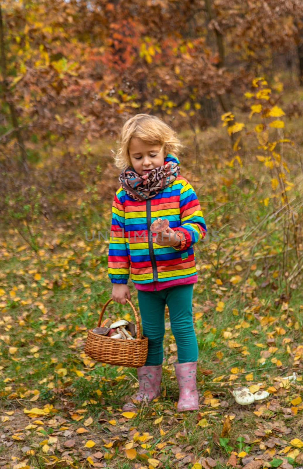 Child with a basket of mushrooms in the forest. Selective focus. nature.