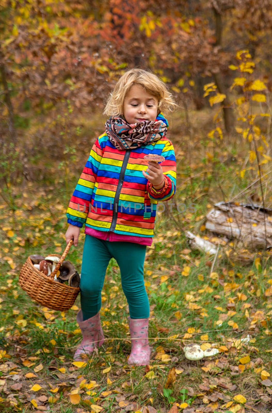 Child with a basket of mushrooms in the forest. Selective focus. nature.