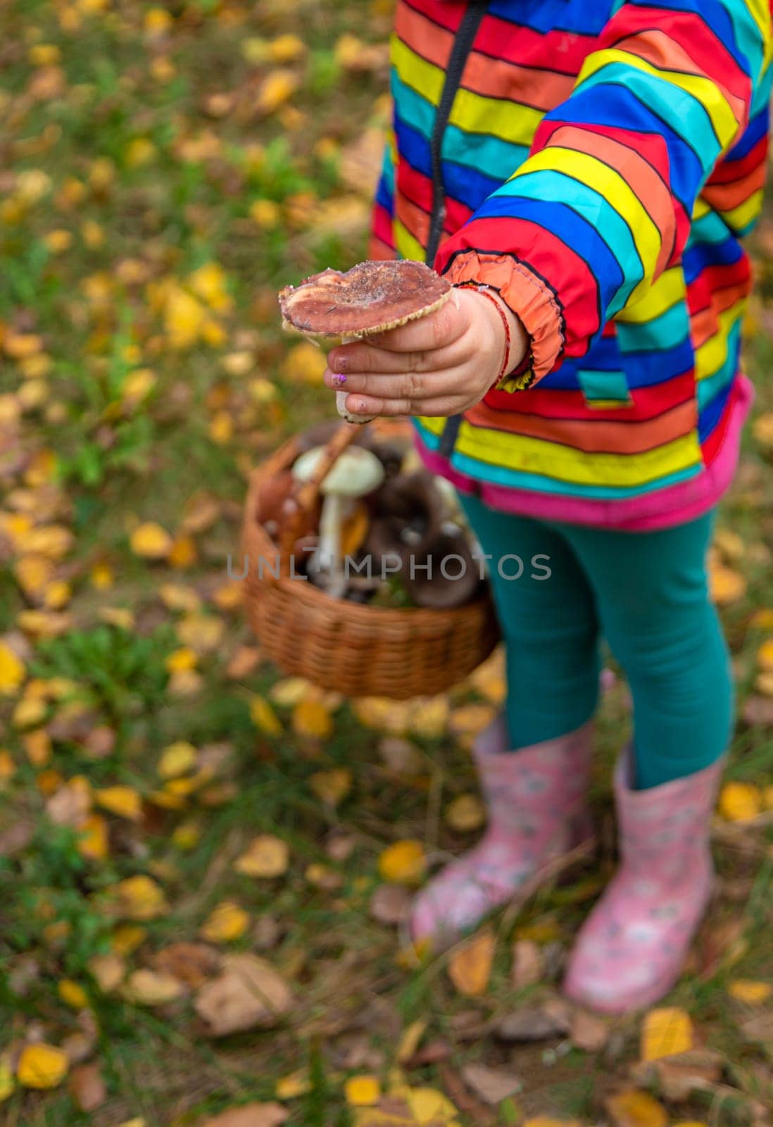 Child with a basket of mushrooms in the forest. Selective focus. nature.