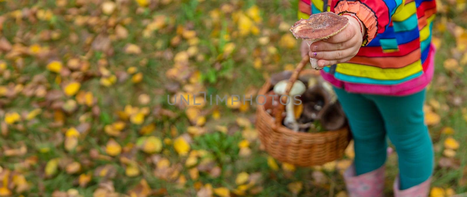Child with a basket of mushrooms in the forest. Selective focus. nature.