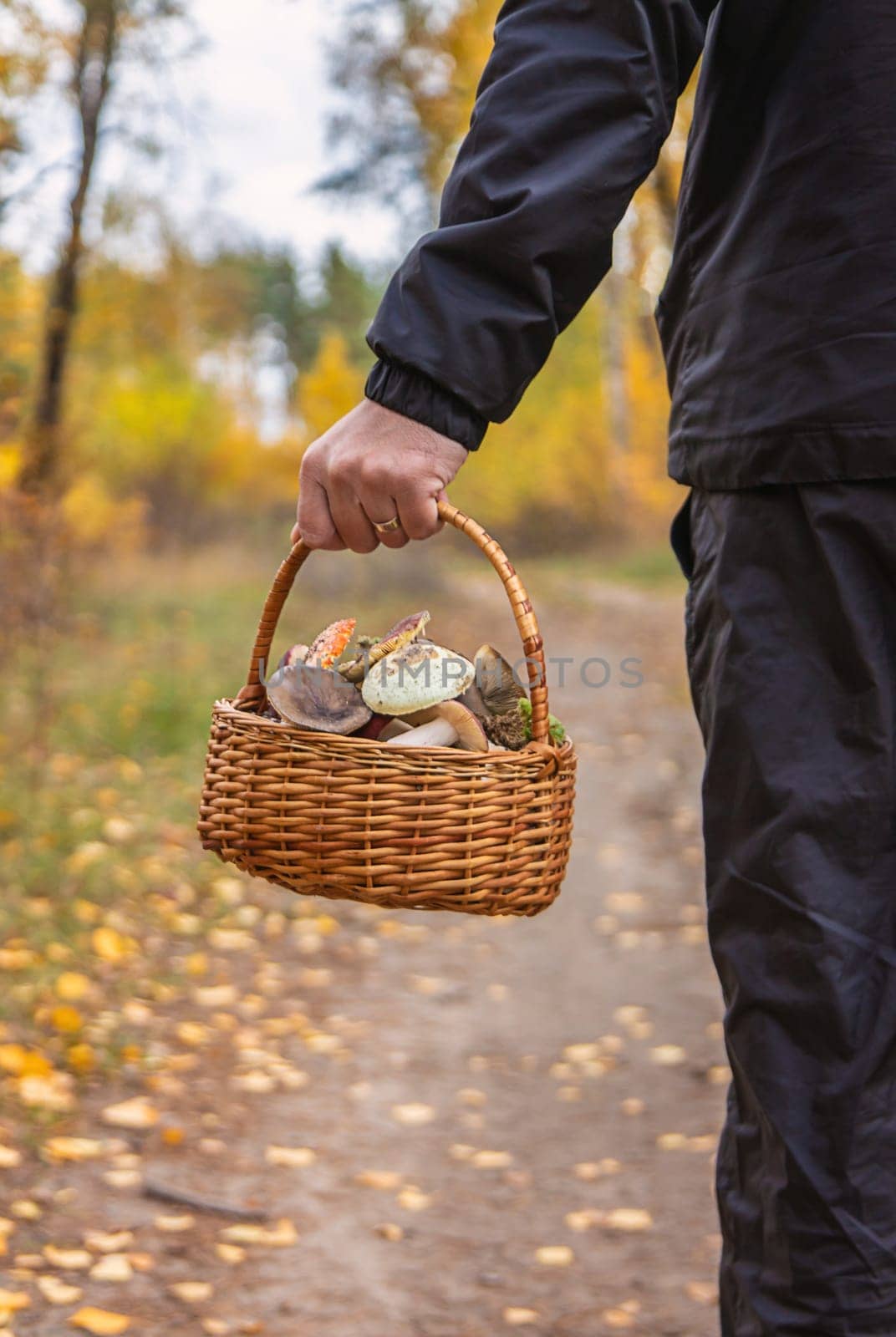Basket with bad mushrooms in hands. Selective focus. nature.