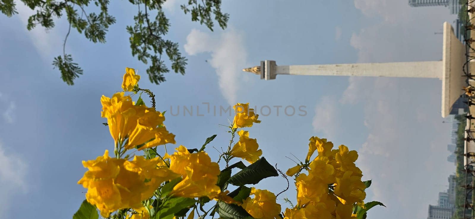 Jakarta city, Indonesia, 03 November 2024, Scenic view of the National Monument or Monas around city skyscrapers under a clear blue sky and sunny day, good for news article or multimedia content creation