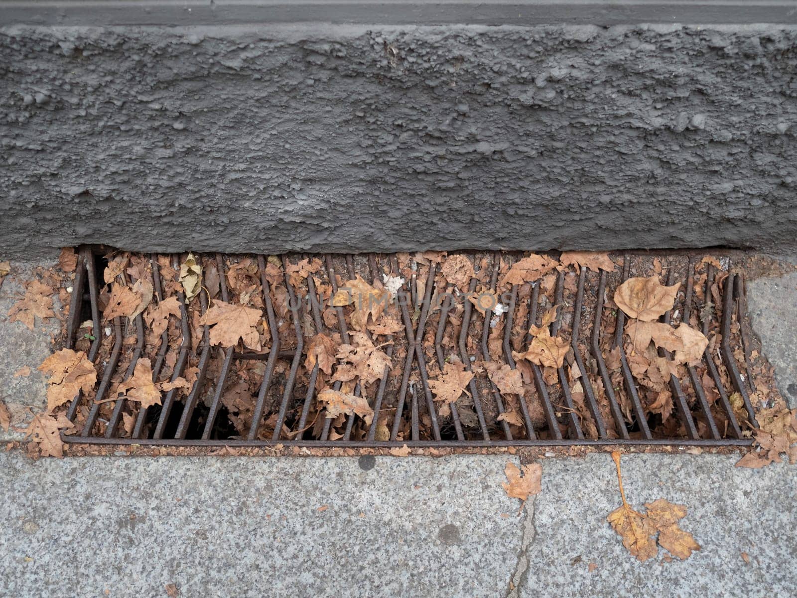 Cremona, Lombardy, Italy October 15th 2024 Fallen autumn leaves blocking a storm drain on a city street, creating potential drainage issues