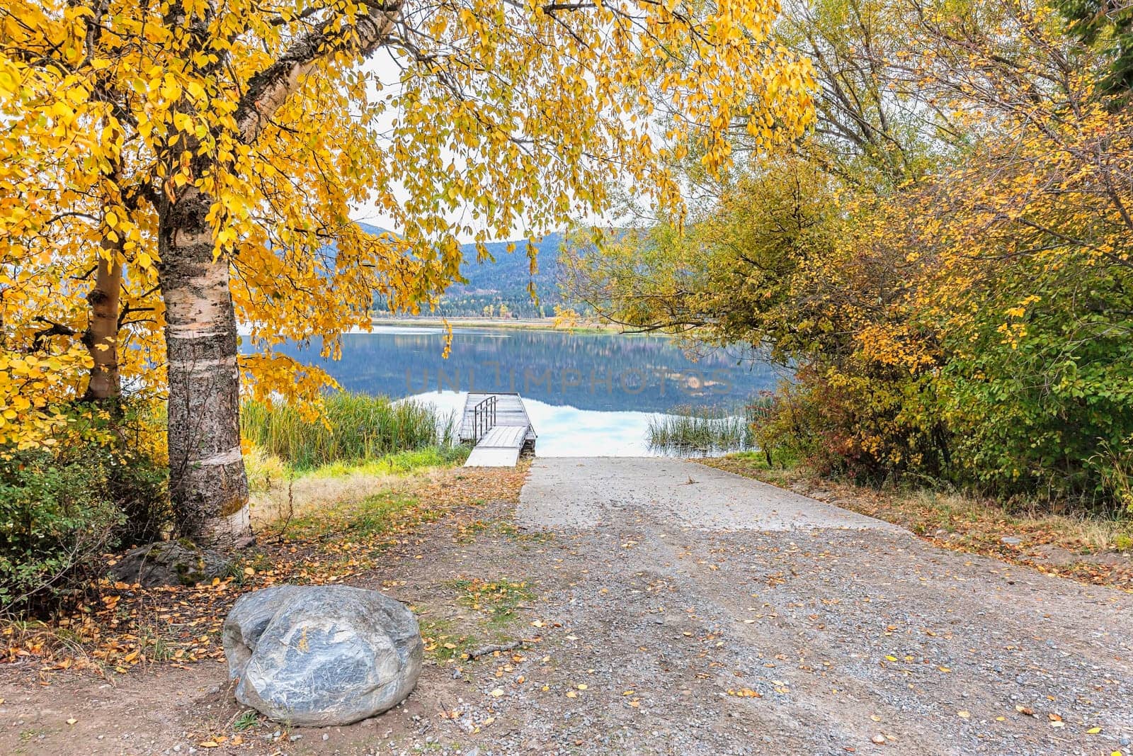 Trees with yellow leaves layer over the ramp to the dock on McArthur Lake in north Idaho.