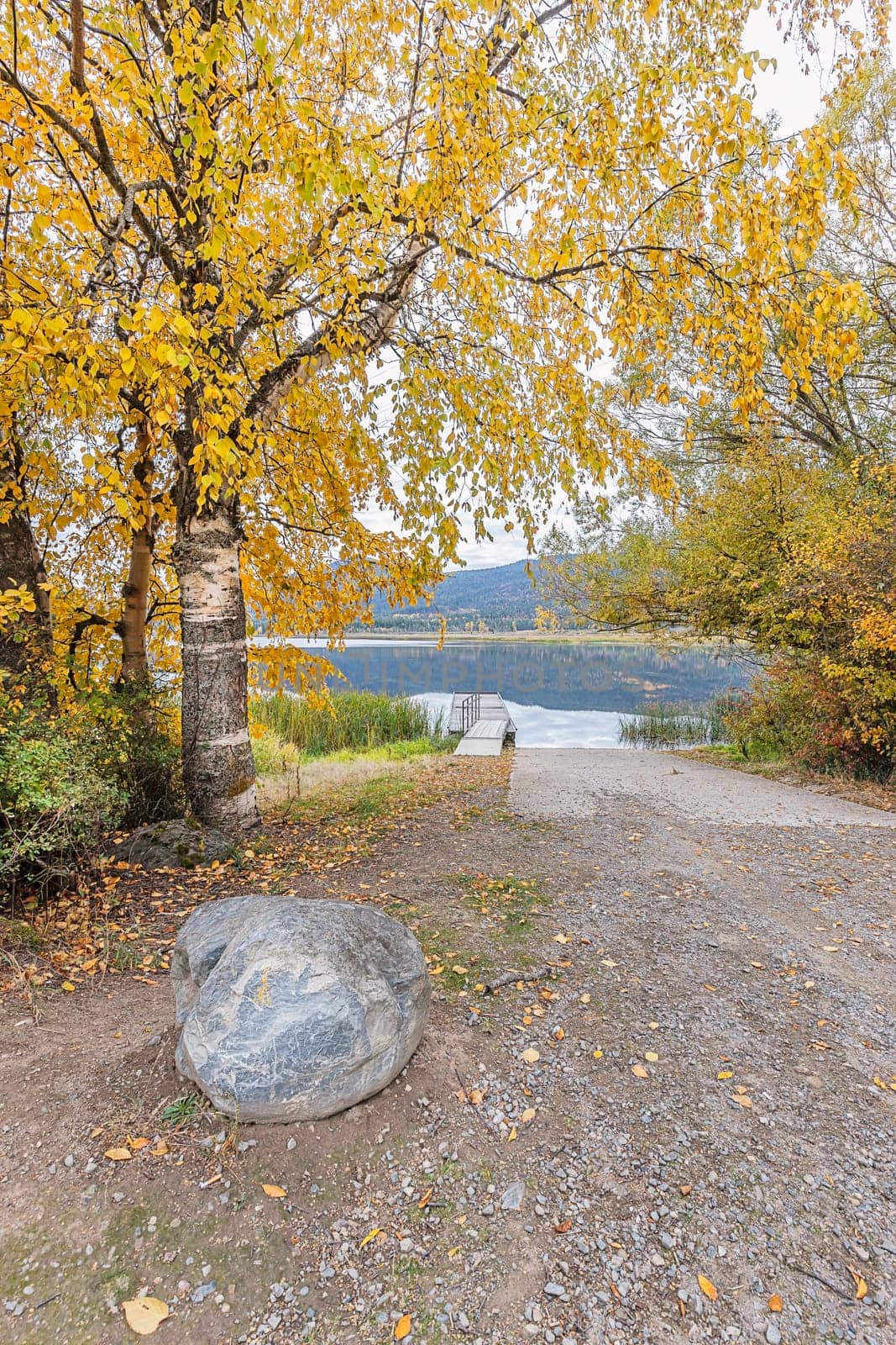 Trees with yellow leaves layer over the ramp to the dock on McArthur Lake in north Idaho.