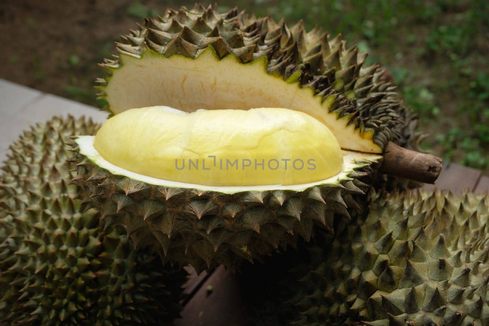 Mon Thong durian fruit from Thailand by norgal