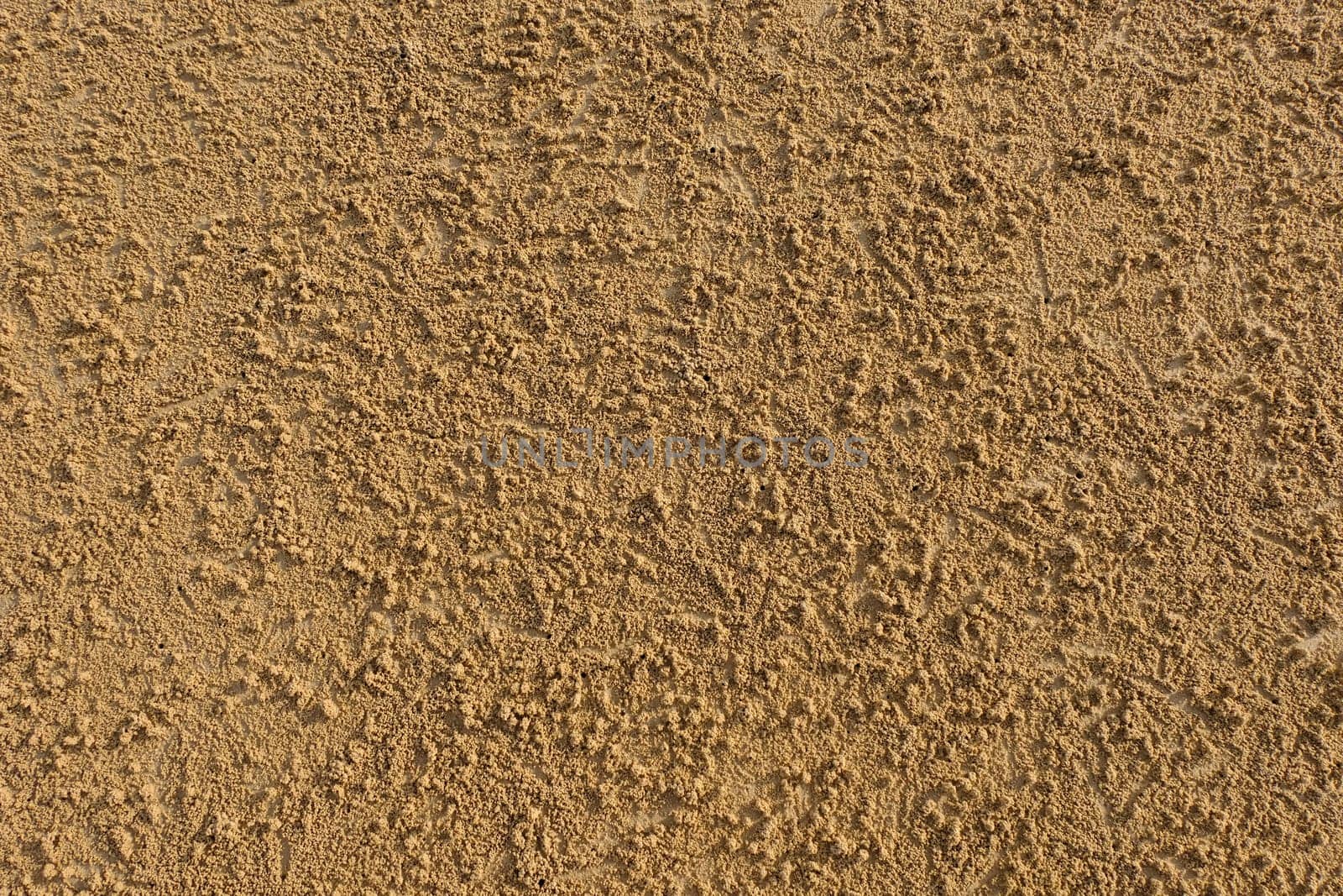 details of sand texture on the beach.