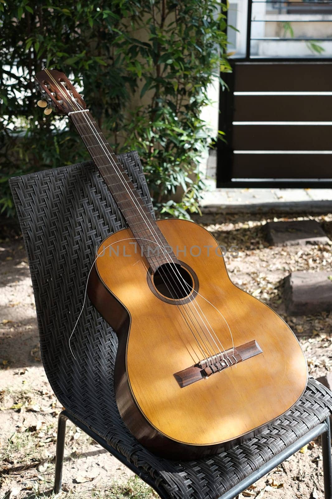 closeup breaked  string on vintage classical guitar.