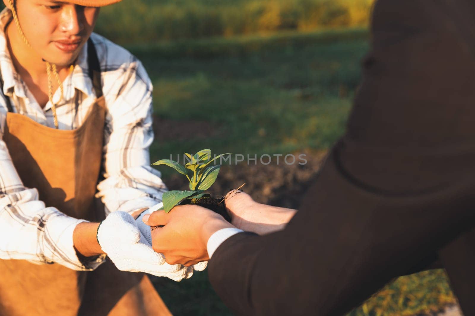 Eco-business company empower farmer with eco-friendly farming practice and clean agricultural technology. Cultivate sustainable future nurturing plants to grow and thrive. Gyre