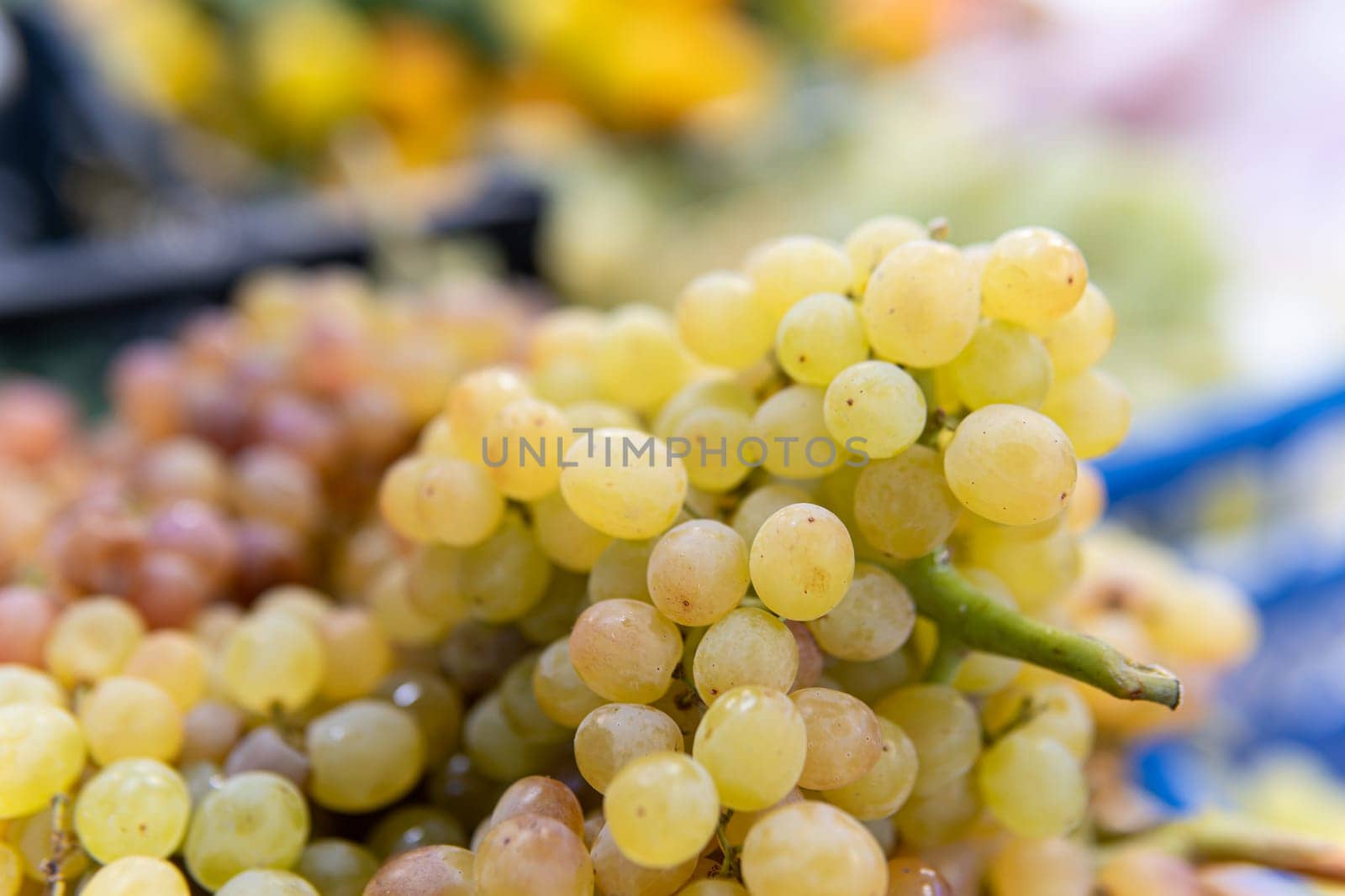 organic juicy grape food healthy market agriculture fruit nutrition nature green harvest fresh