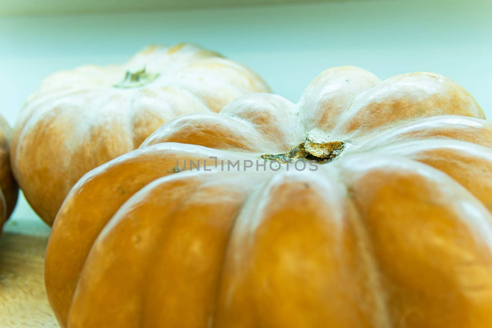 halloween decoration farm agriculture market food holiday october orange harvest