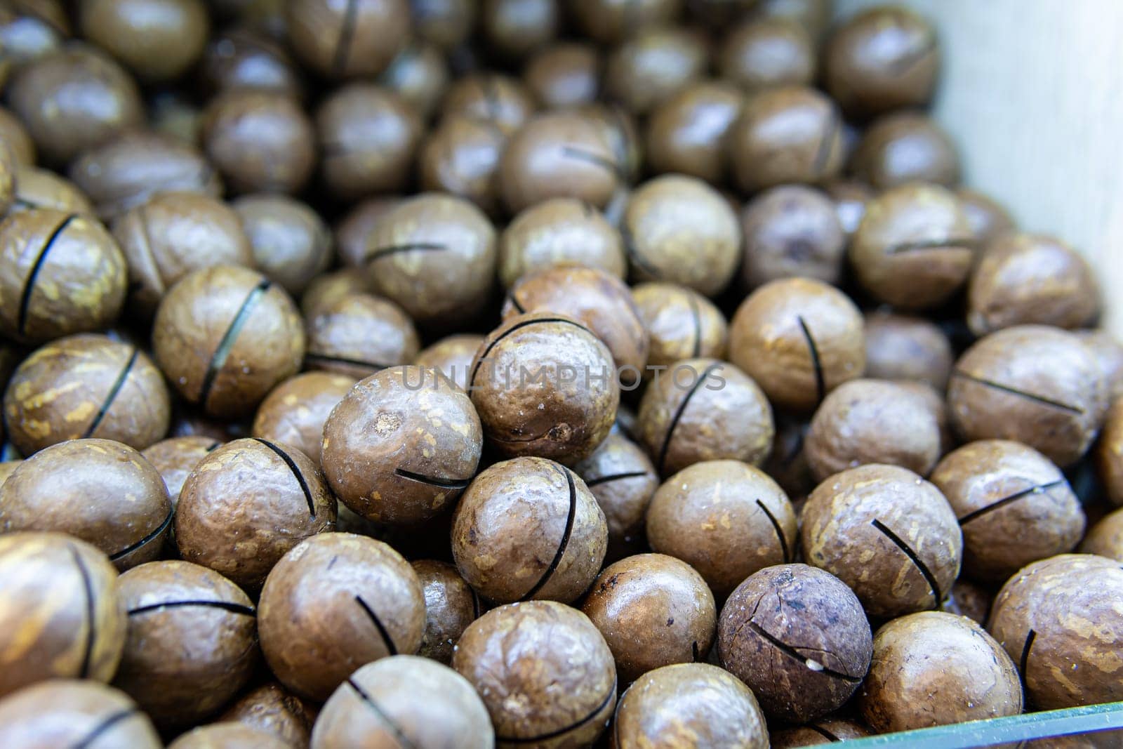 - freshness seed nut food macadamia cooking snack people ingredient nutshell organic no