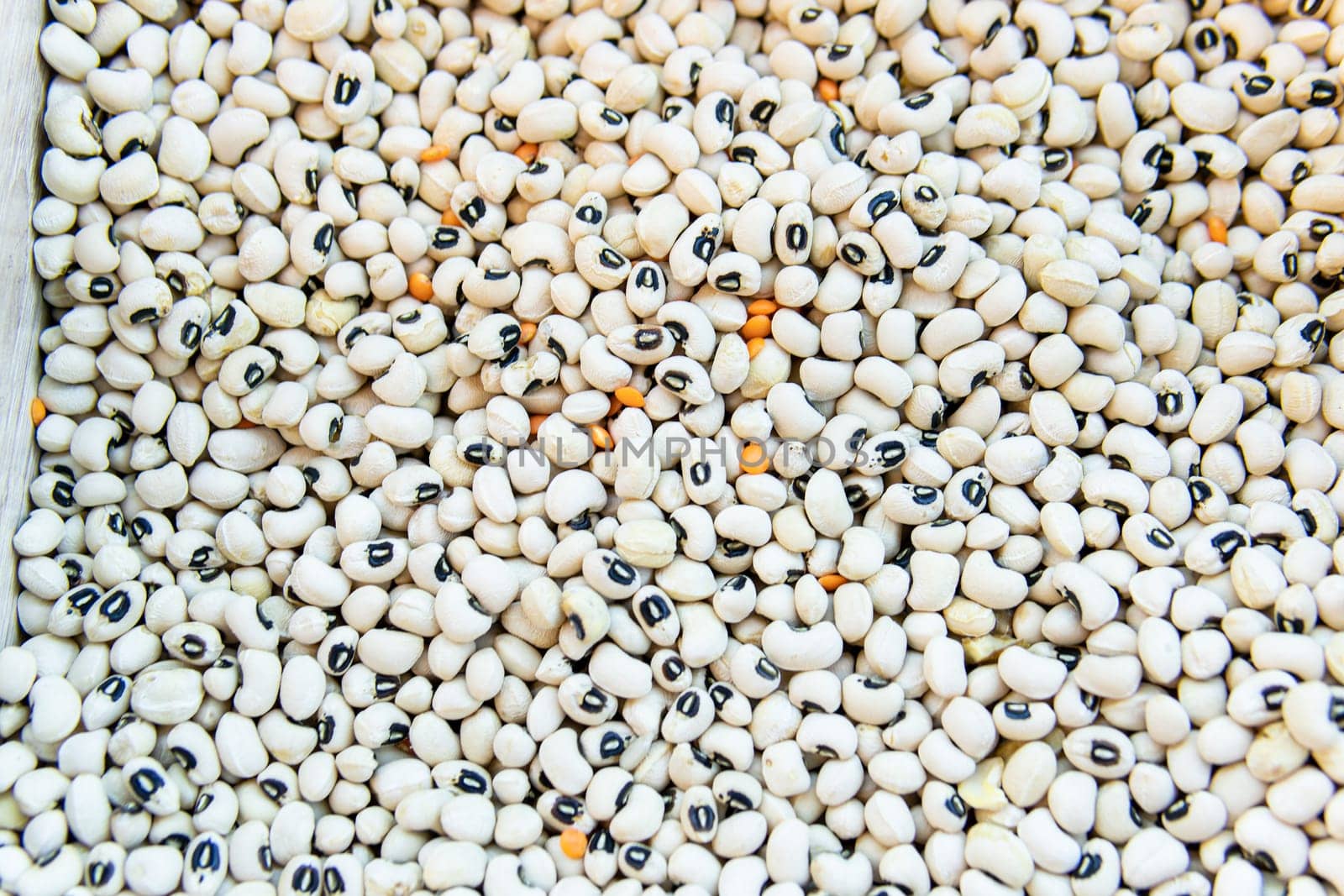 natural vegetable food bean vegetarian organic raw ingredient market uncooked dry healthy