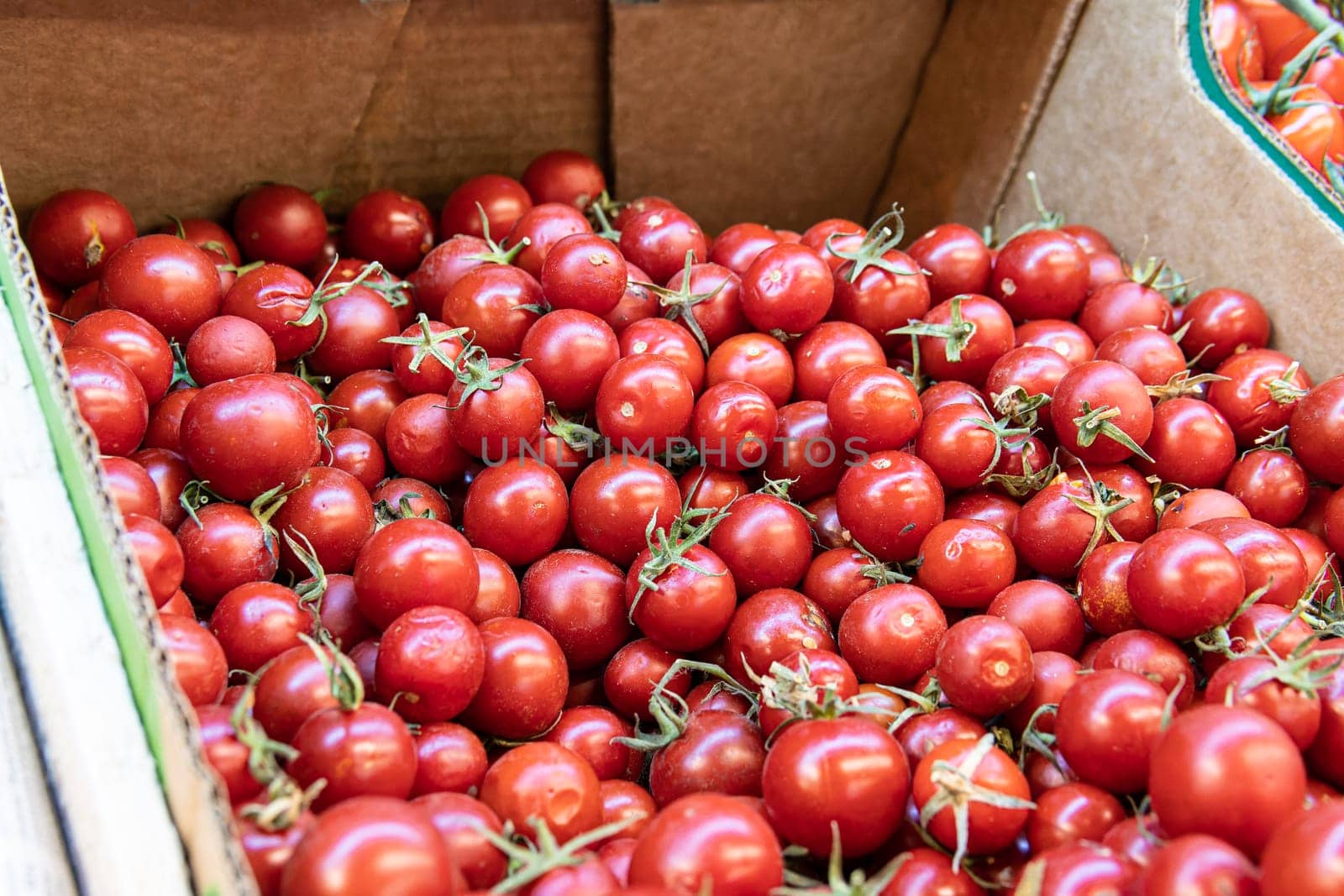 freshness vegetable food ripe closeup organic tomato ingredient fresh agriculture raw juicy red