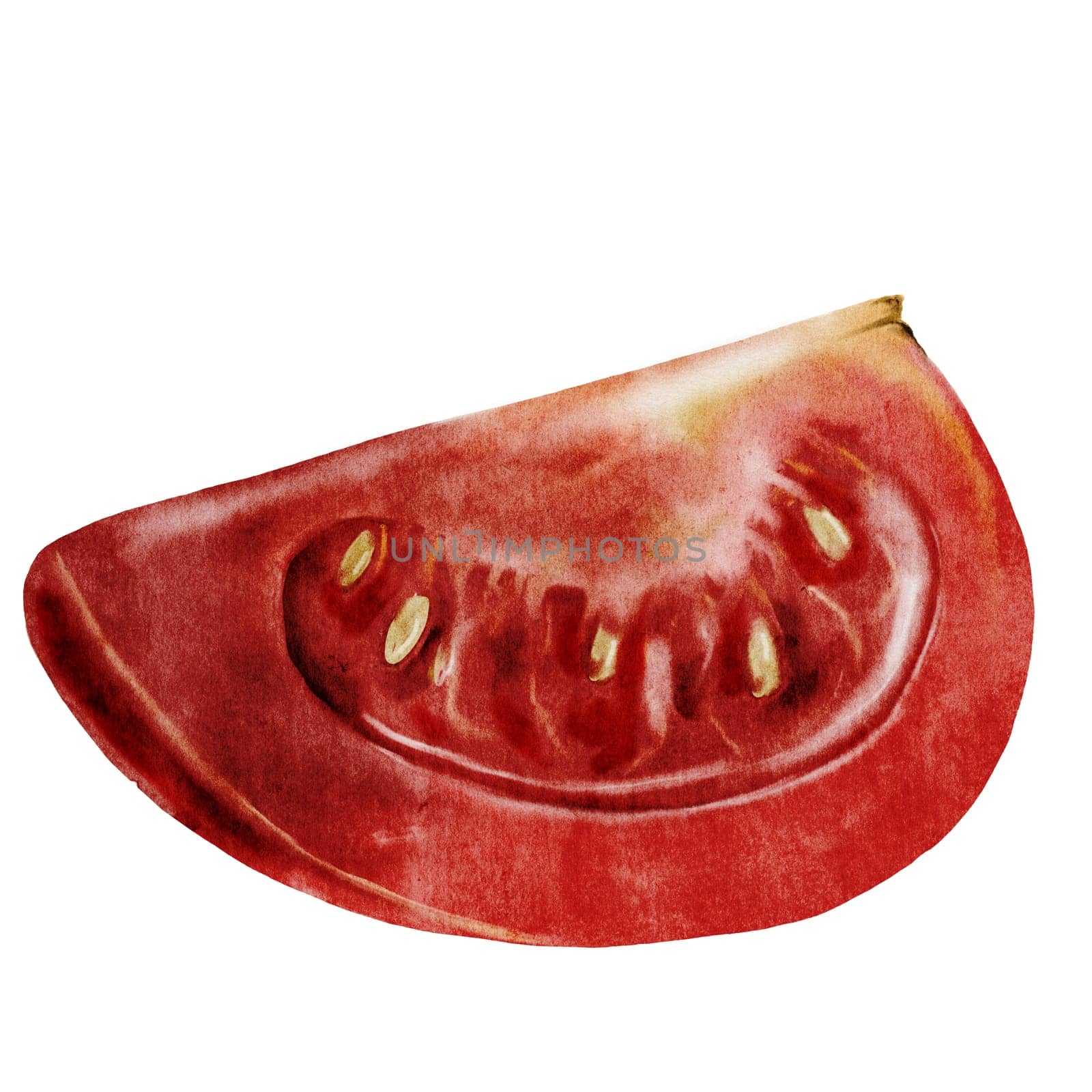 Tomato watercolor. Hand drawn ripe vegetable on isolated white background. Clip art food. Ideal for farm shop, posters and labels. Organic vegetables. High quality photo