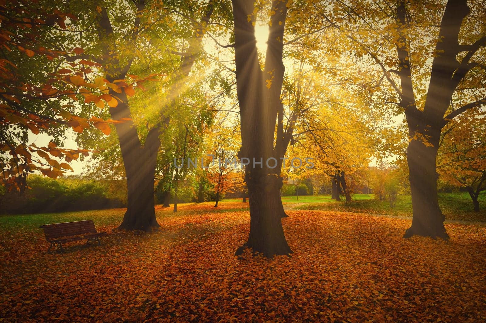 Beautiful colourful autumn landscape in the Czech Republic. Colorful trees in nature in autumn season. Seasonal concept for outdoor activities.