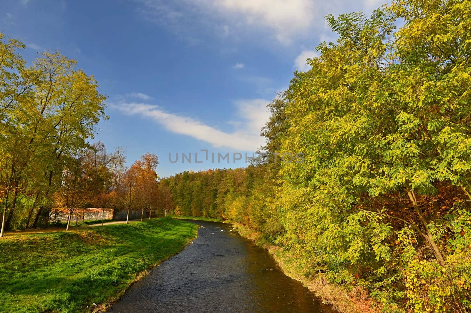 Autumn background with colorful trees. Nature with landscape. Seasonal concept for fall.