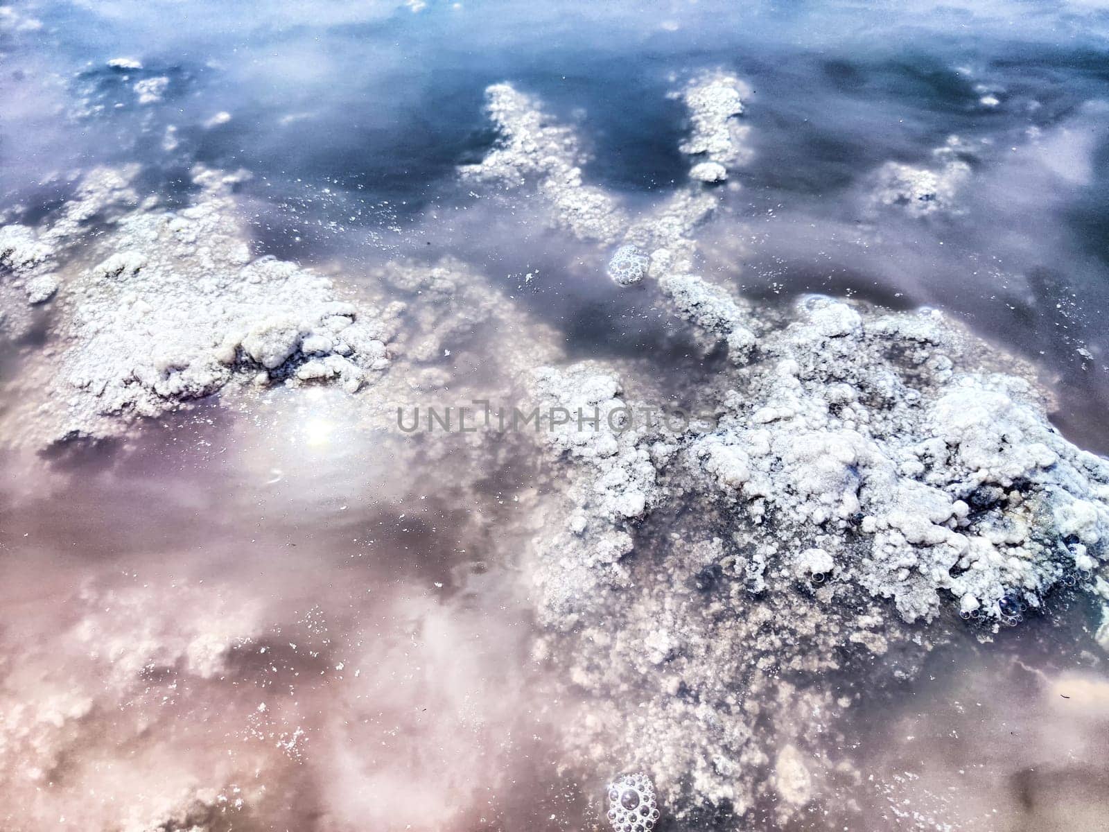 Salt crusts form distinct shapes on the surface of a tranquil salt lake, reflecting light in midday sun with soft hues of the surrounding water.