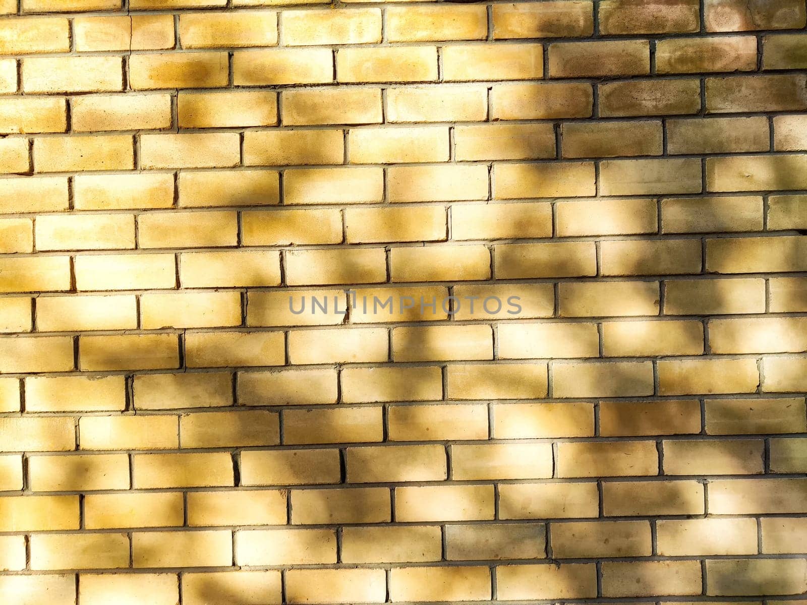 A textured yellow brick wall displays intricate patterns and soft shadows created by surrounding plants illuminated by golden hour sunlight.