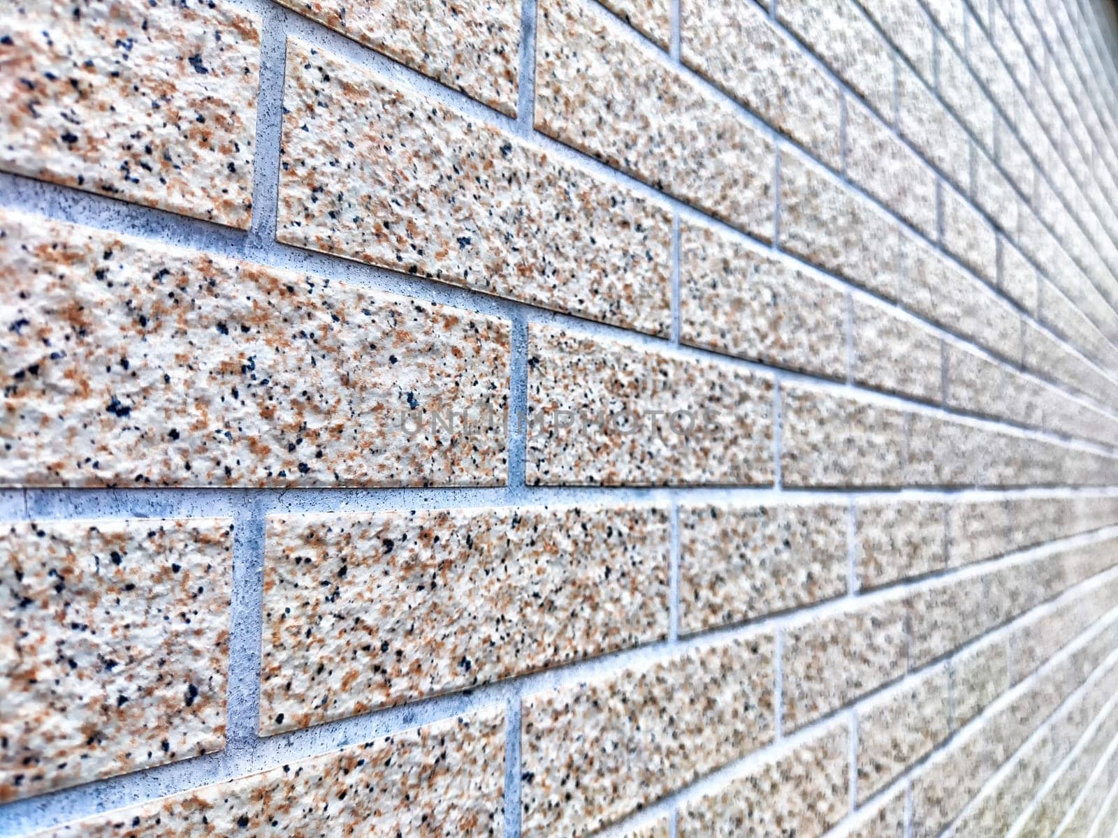 A close-up of a textured brick wall showing speckled patterns in natural light.