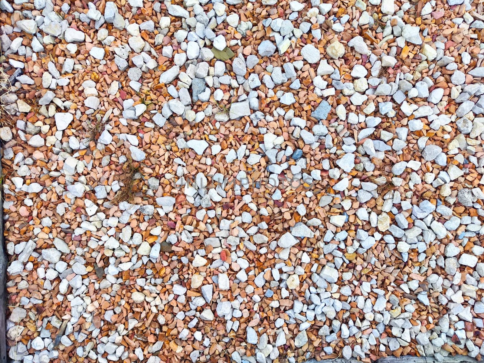 A vibrant assortment of small white and orange stones covers the ground, adding color and texture to a garden area under sunlight.