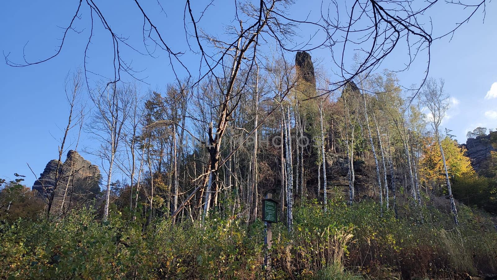 autumn landscape, forest trees blue sky, green leaves, nature, weather, walk travel, rock. Trees rocky formation . High quality photo