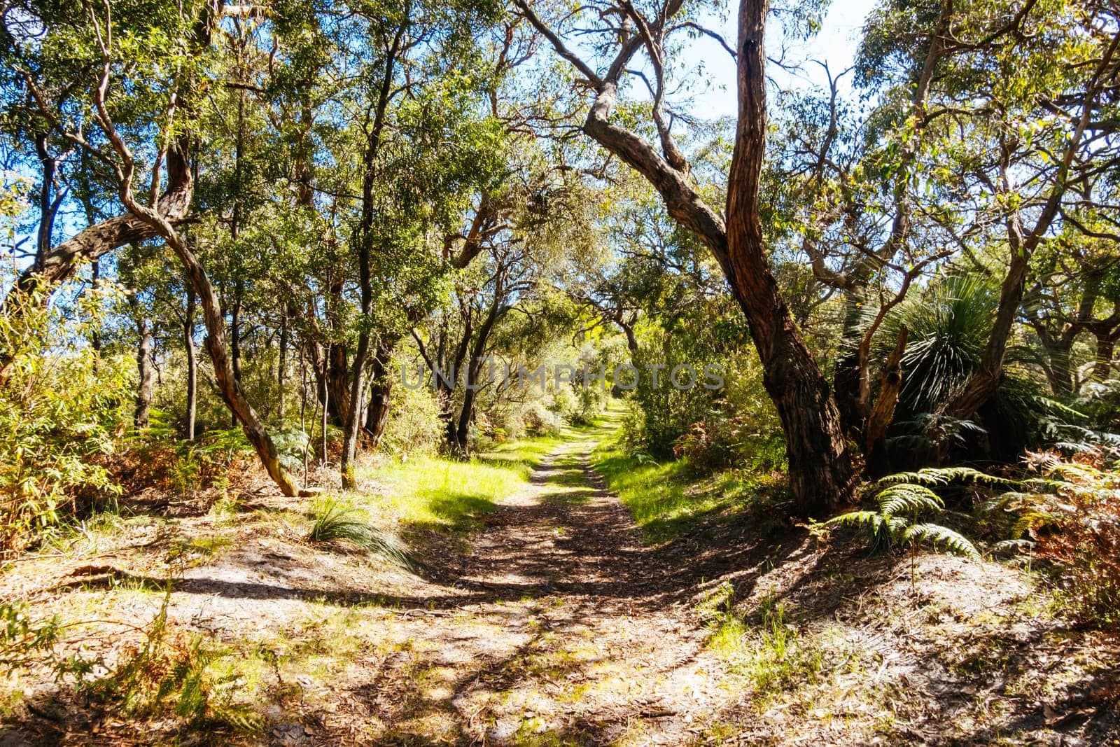Long Point Circuit Walk as part of the Two Bays Walking Track near Cape Schanck Lighthouse on the Mornington Peninsula in Victoria, Australia