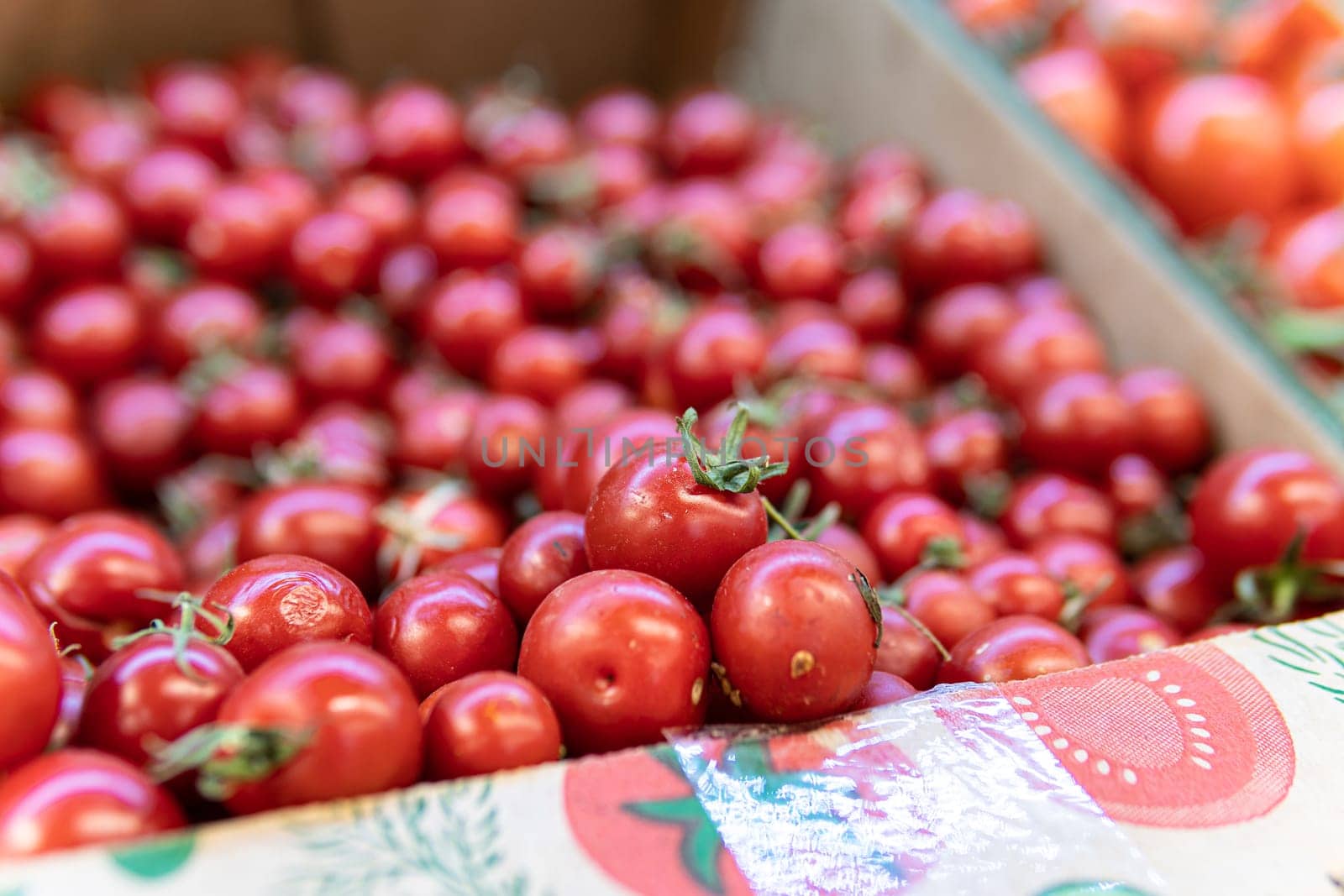 fresh vegetable juicy organic closeup ingredient ripe agriculture freshness food raw red tomato