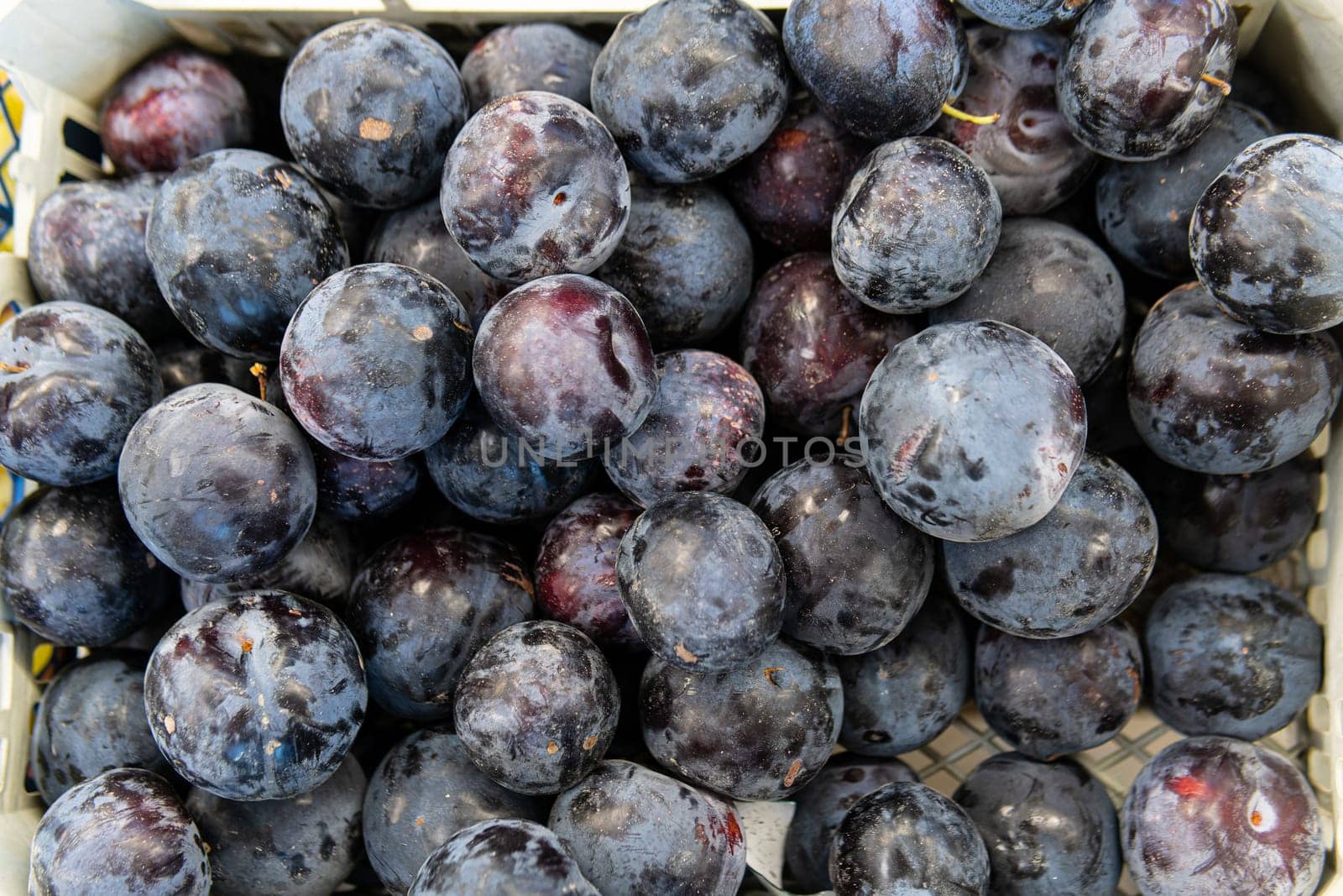 ripe market agriculture natural sweet fresh food healthy fruit harvest organic background juicy