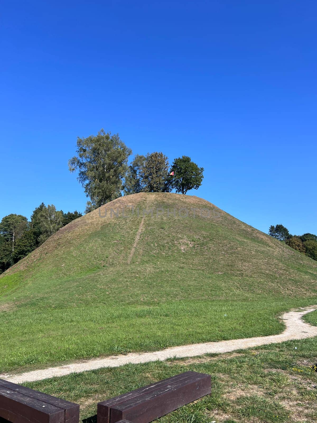 A grassy hill with a dirt path winding up, scattered trees, and a partly cloudy sky. High quality photo