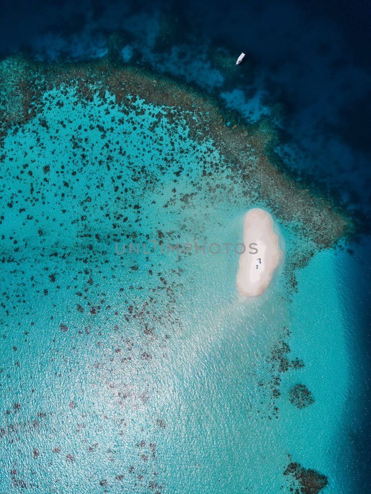 Sandbank experience with picnic in Gaafu Dhaalu Atoll Maguhdhuvaa Island, Maldives. High quality photo
