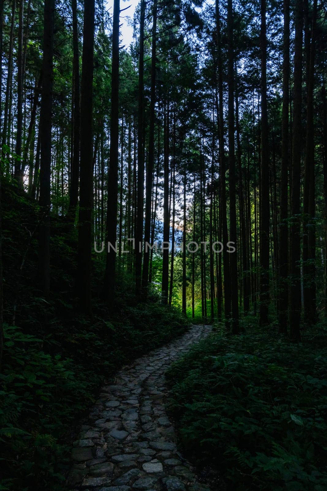 Hiking path landscape on the famous Magome-Tsumago Trail as part of the Nakasendo Way between Magome and Tsumago in Gifu Prefecture, Japan