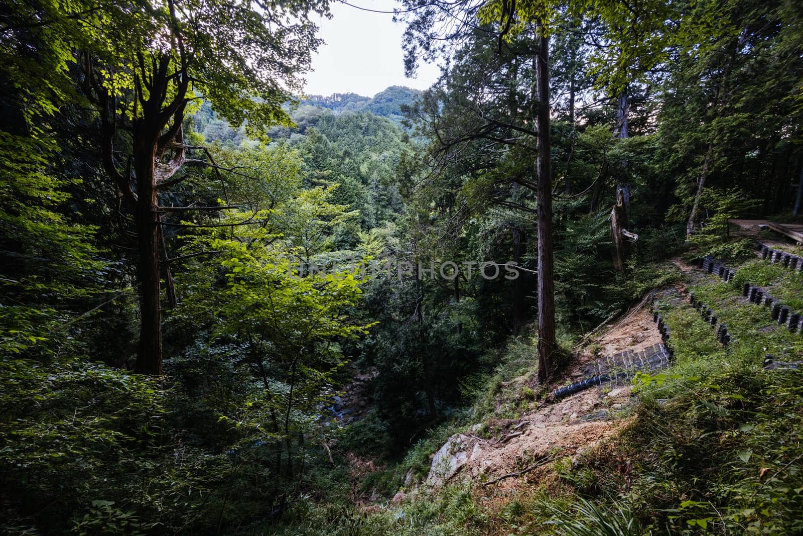 Hiking path landscape on the famous Magome-Tsumago Trail as part of the Nakasendo Way between Magome and Tsumago in Gifu Prefecture, Japan
