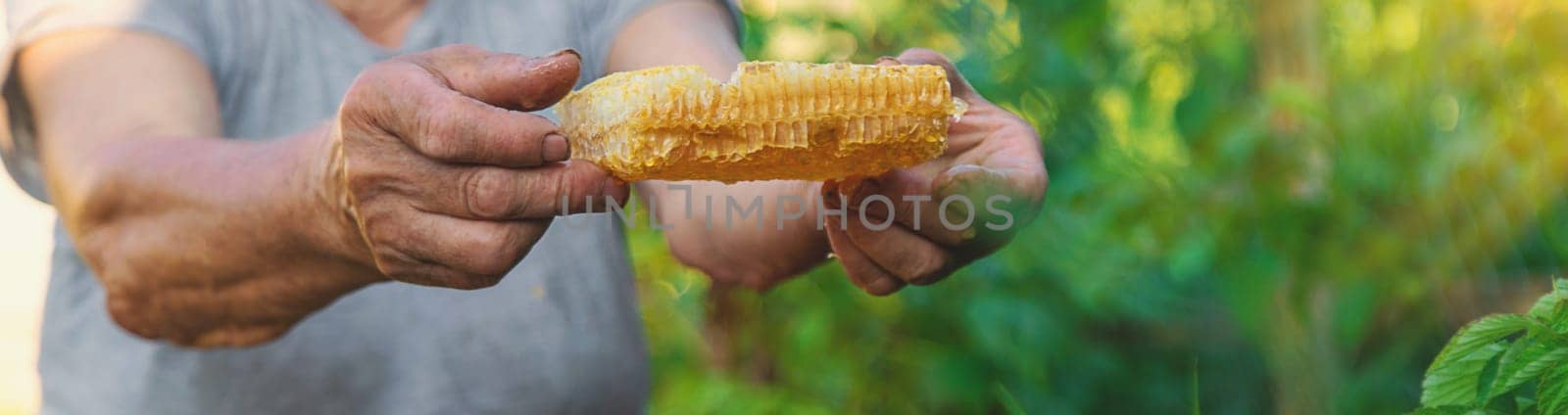 An elderly woman holds honey in her garden. Selective focus. food.