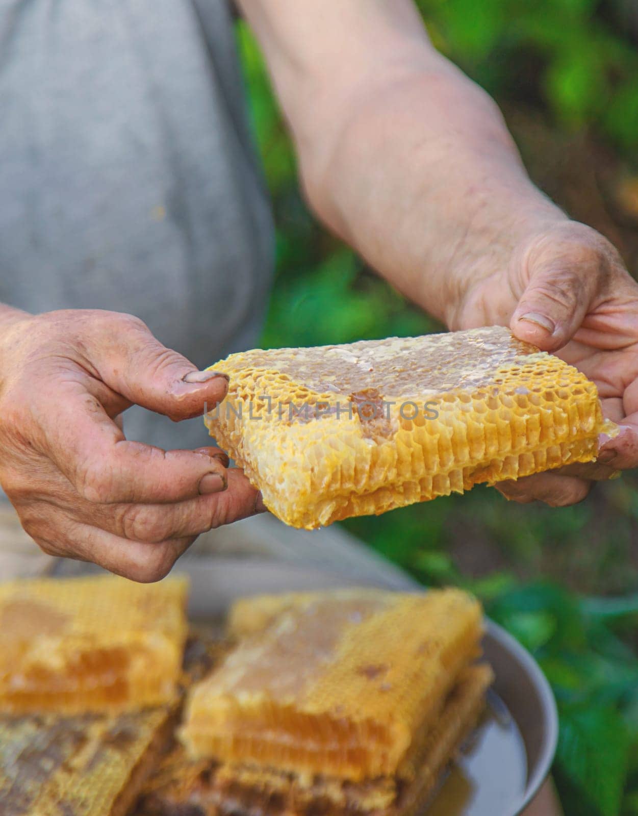 An elderly woman holds honey in her garden. Selective focus. food.