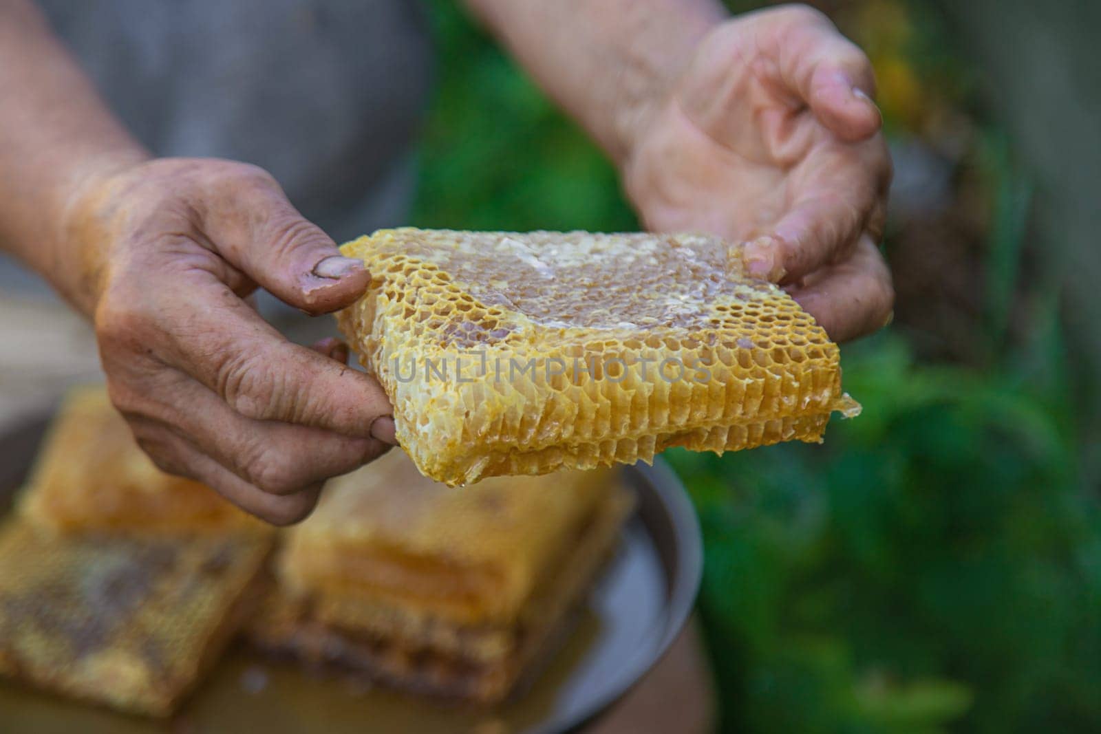 An elderly woman holds honey in her garden. Selective focus. food.