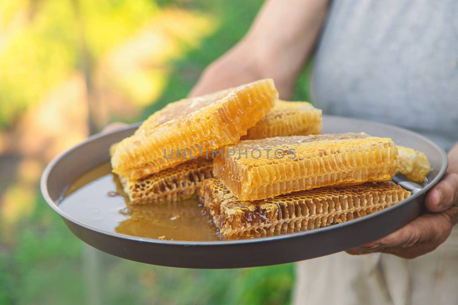 An elderly woman holds honey in her garden. Selective focus. food.